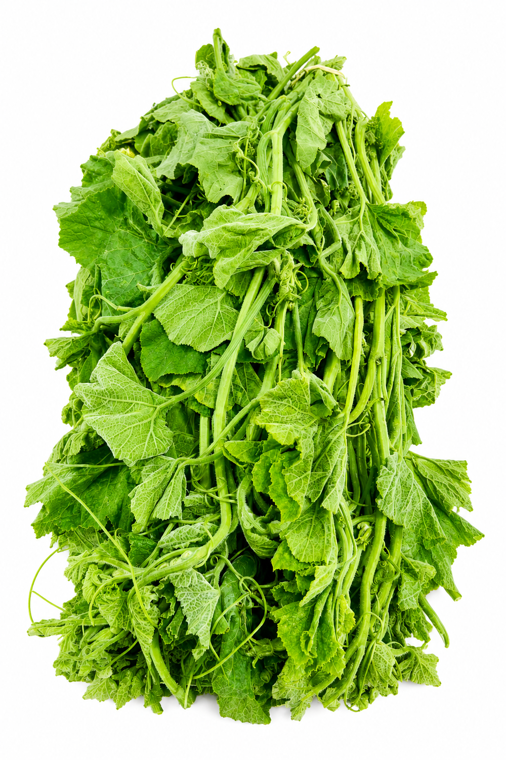 Misty Kumra Shak